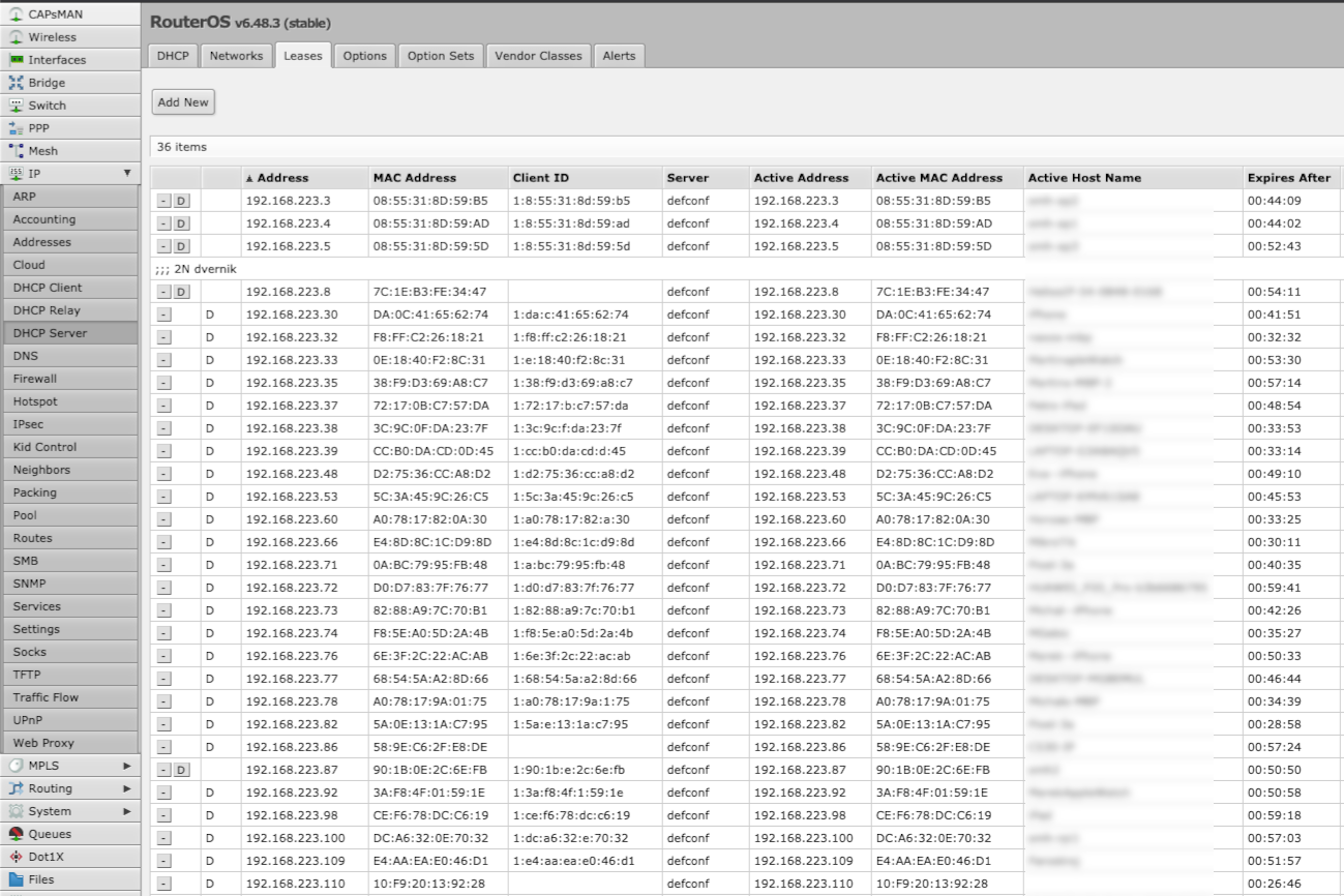 MikroTik DHCP server. List of hosts with assigned dynamic IP addresses and leased period.
